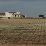 Finca