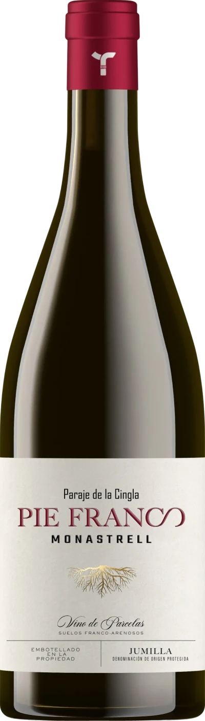 botella pie franco tinto 2024